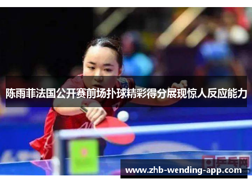 陈雨菲法国公开赛前场扑球精彩得分展现惊人反应能力 陈雨菲法国公开赛前场扑球精彩得分展现惊人反应能力