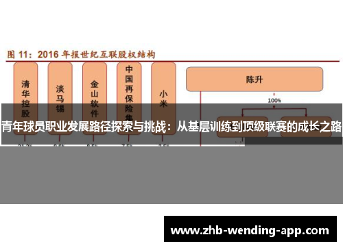 青年球员职业发展路径探索与挑战:从基层训练到顶级联赛的成长之路 青年球员职业发展路径探索与挑战:从基层训练到顶级联赛的成长之路
