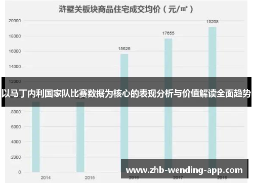 以马丁内利国家队比赛数据为核心的表现分析与价值解读全面趋势
